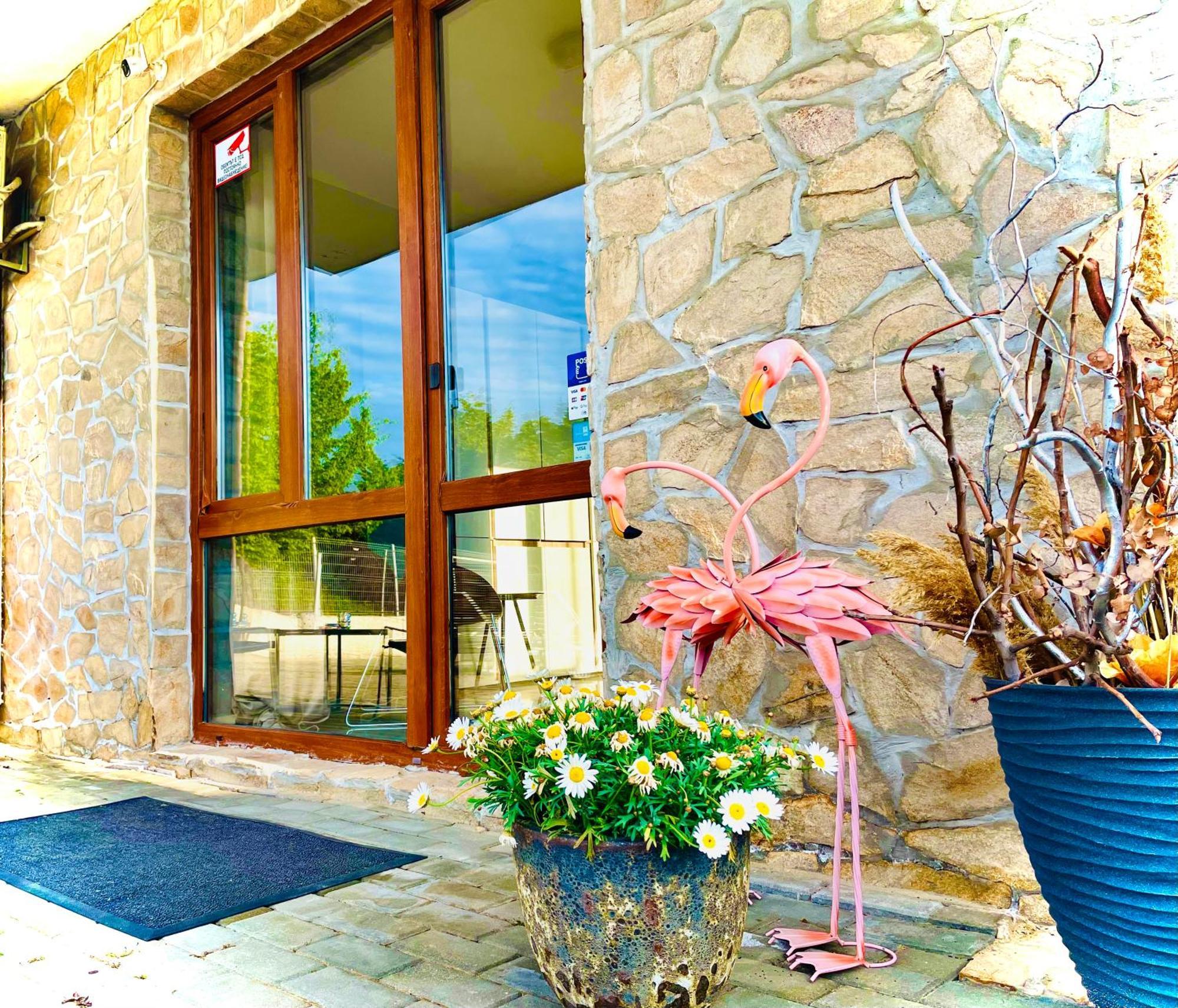 Stefaniya Apartments Sozopol Eksteriør bilde
